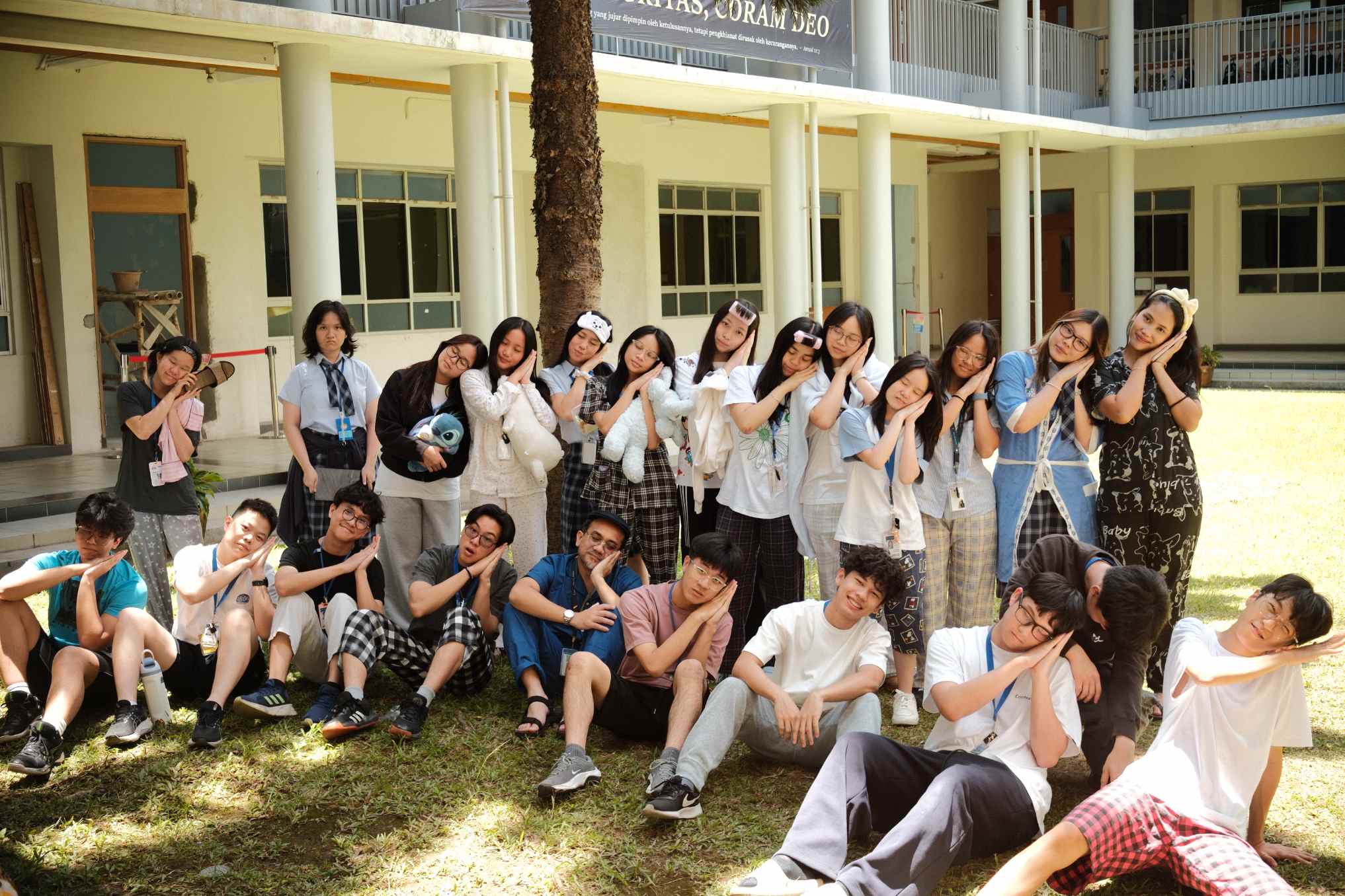 compressed sor1