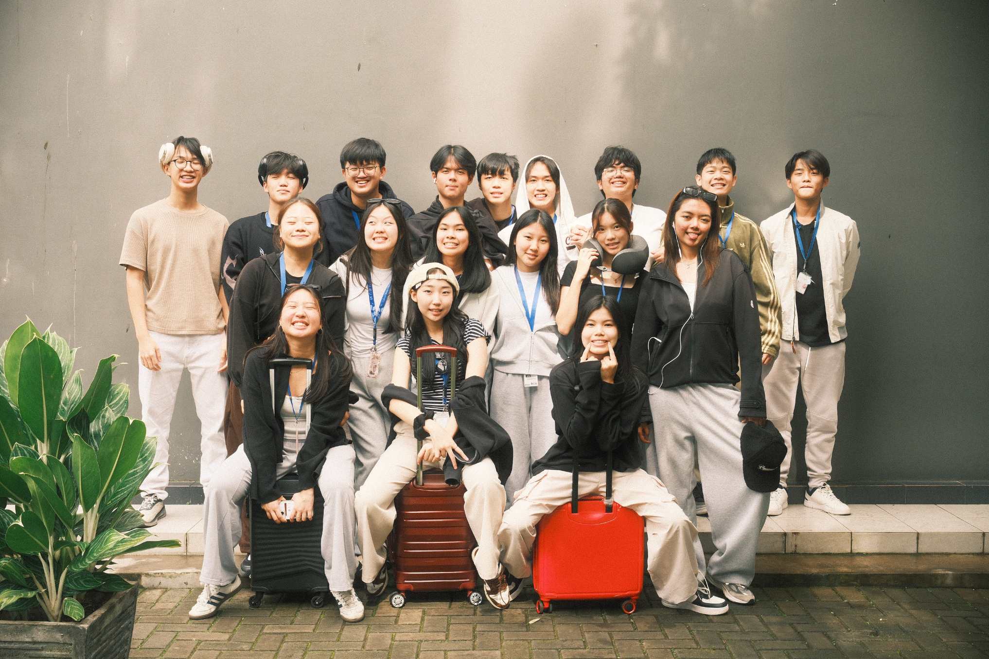 compressed sor8